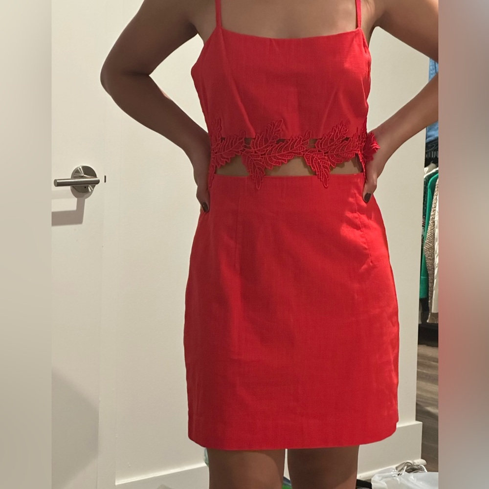 Mini Lace Cut Out Dress